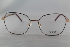 Eco Aster