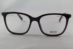 Eco Willonw