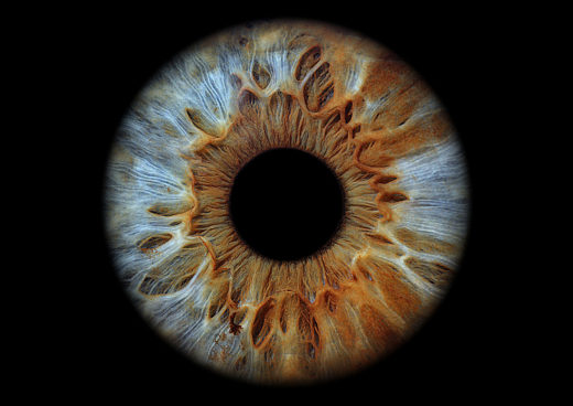 Íriszfotózás a Szentimre Optikában!